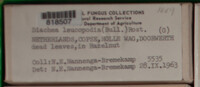 Image Associated With the Occurence